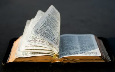 How Do I Know The Bible Is True?