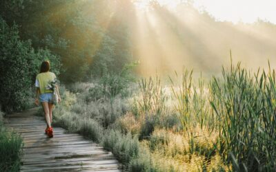 How Do I Know God’s Will For My Life?